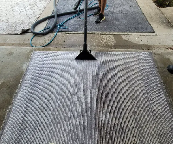 Professional carpet cleaning service