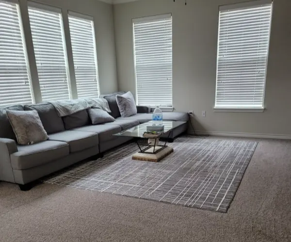 Reliable carpet cleaning service