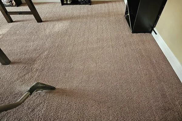 Trusted Commercial Carpet Cleaner in Irving, TX